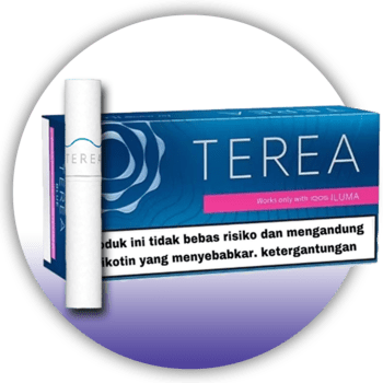 Terea Indonesia